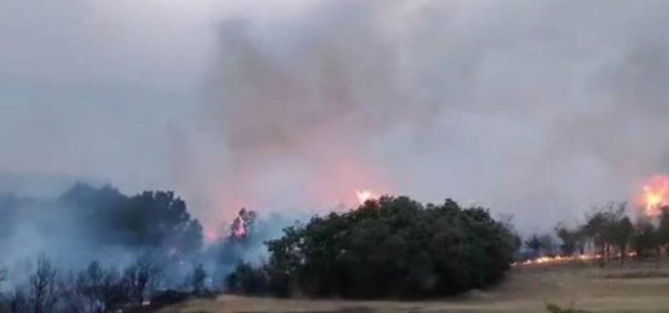 Φωτιά στην Αλεξανδρούπολη