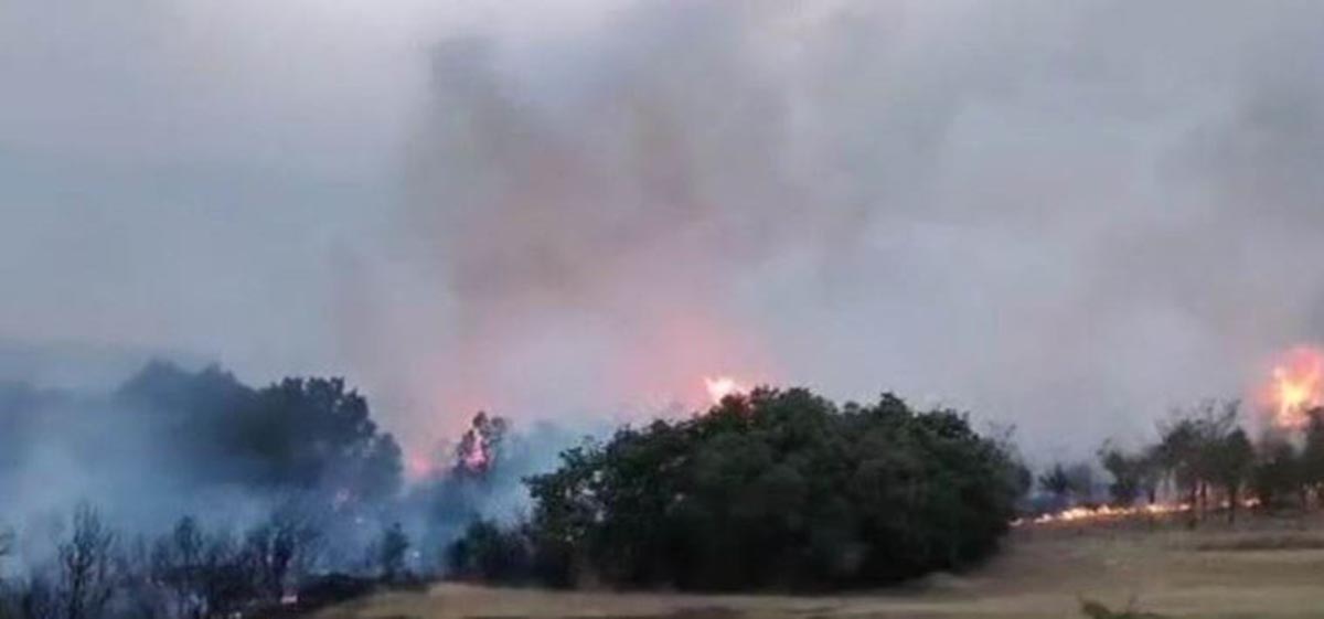 Φωτιά στην Αλεξανδρούπολη
