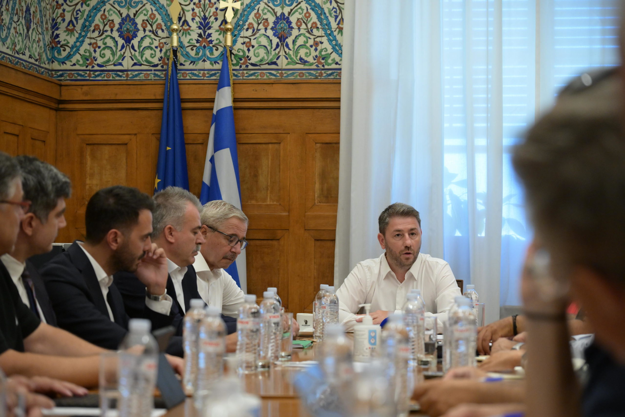 Ανδρουλάκης: Η κυβέρνηση απέτυχε παταγωδώς να προστατεύσει το κόσμημα της βιοποικιλότητας, το δάσος της Δαδιάς