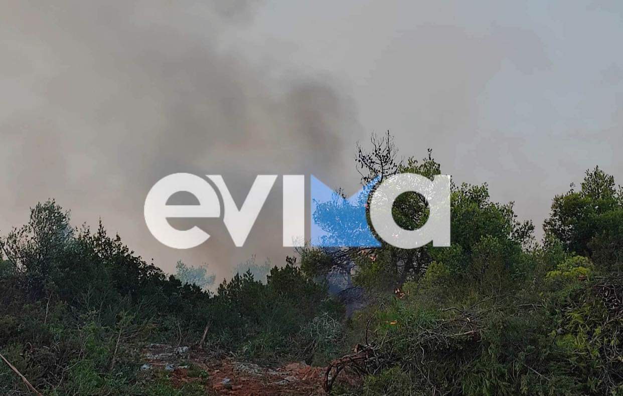 Φωτιά στην Εύβοια