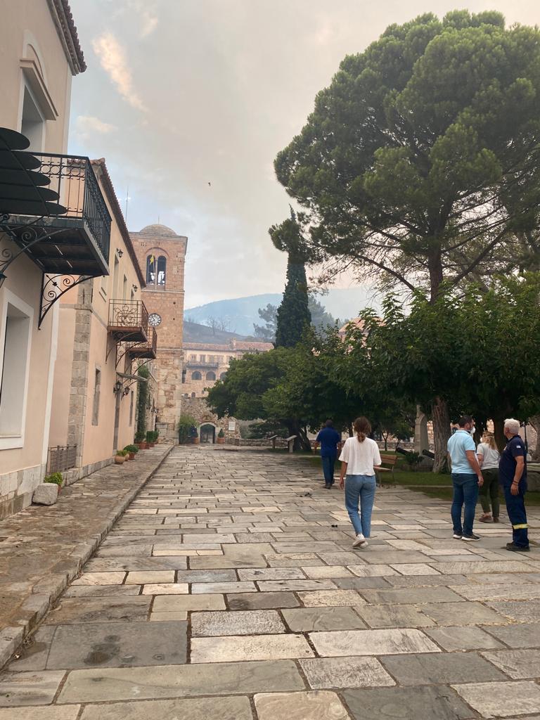 Φωτιά στην Βοιωτία