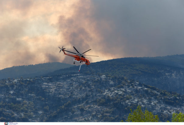 Φωτιά στην Πάρνηθα