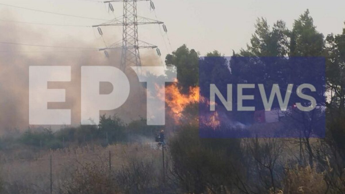 Πάτρα: Υπό μερικό έλεγχο τέθηκε η πυρκαγιά στη Σκιόεσσα Αχαΐας