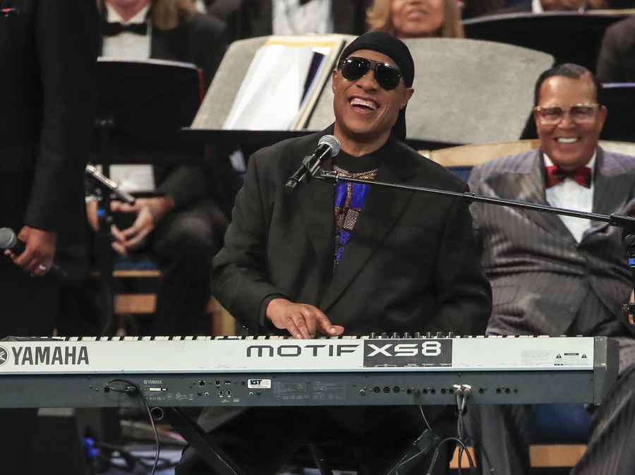Stevie Wonder