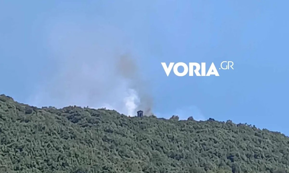 Οριοθετήθηκε η φωτιά στο Άγιο Όρος – ΒΙΝΤΕΟ