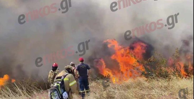 Αλεξανδρούπολη Κοίλια