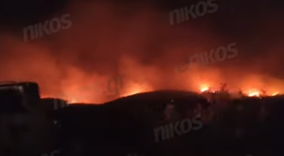 Αλεξανδρούπολη: Καταφύγιο αδέσποτων ζώων εκκενώθηκε εξαιτίας της φωτιάς