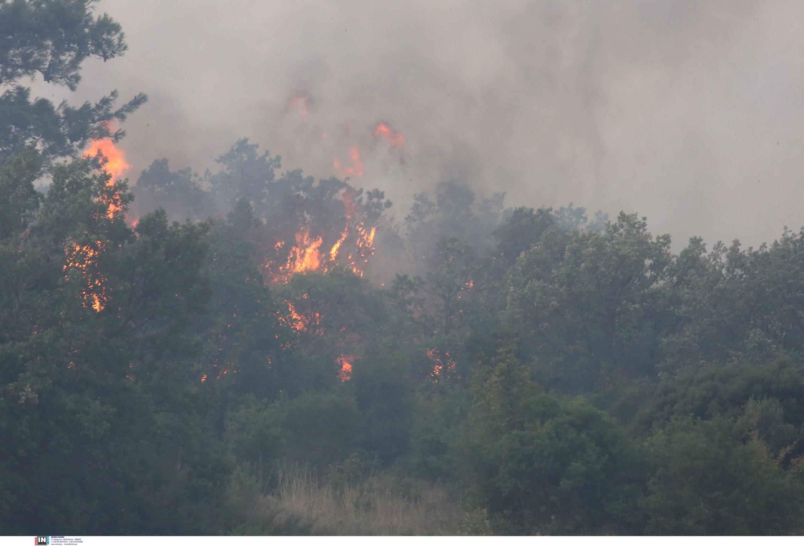 Φωτιά στην Αλεξανδρούπολη: Μήνυμα από το 112 για εκκένωση πέντε οικισμών – Έκλεισε η Εγνατία