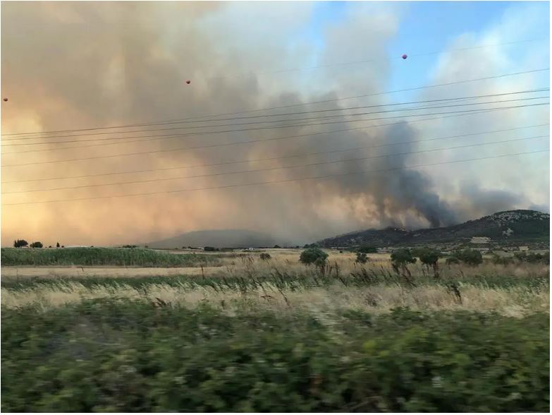 Φωτιά στην Αλεξανδρούπολη