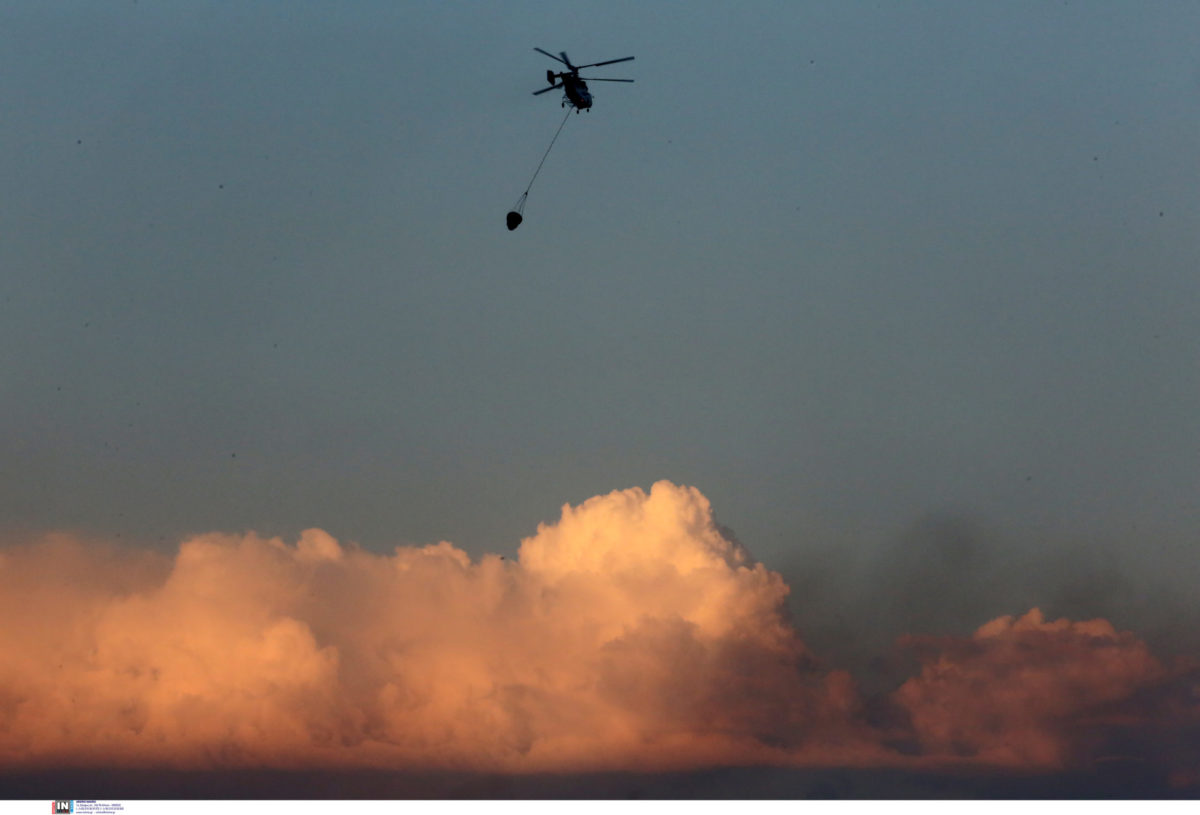 Φωτιά Αλεξανδρούπολη