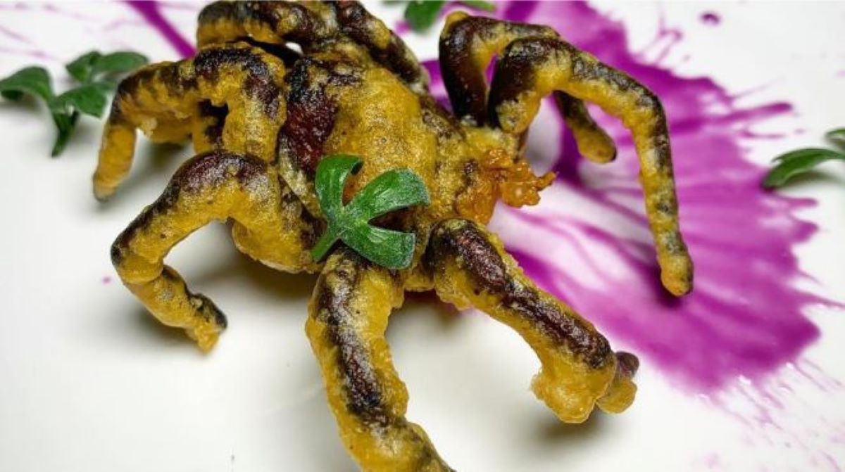 Νέα Υόρκη: Σεφ δίνει συνταγές για τηγανητή αράχνη και τριζόνια με τυρί