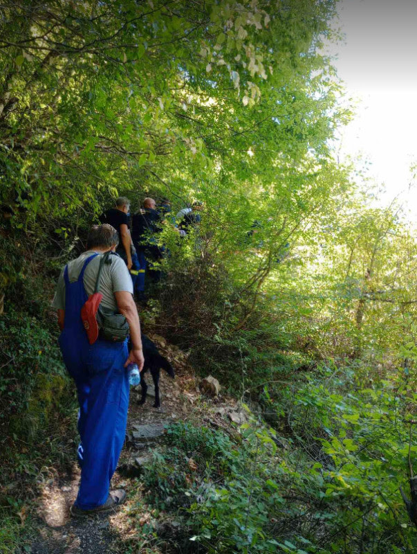 Άρτα επίθεση αρκούδας