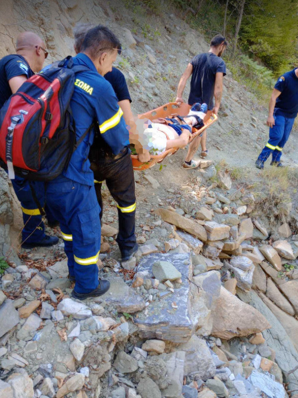 Άρτα επίθεση αρκούδας