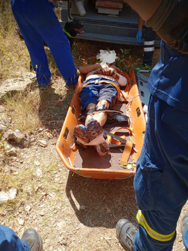 Άρτα επίθεση αρκούδας