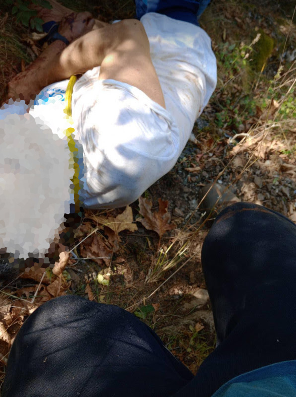 Άρτα επίθεση αρκούδας