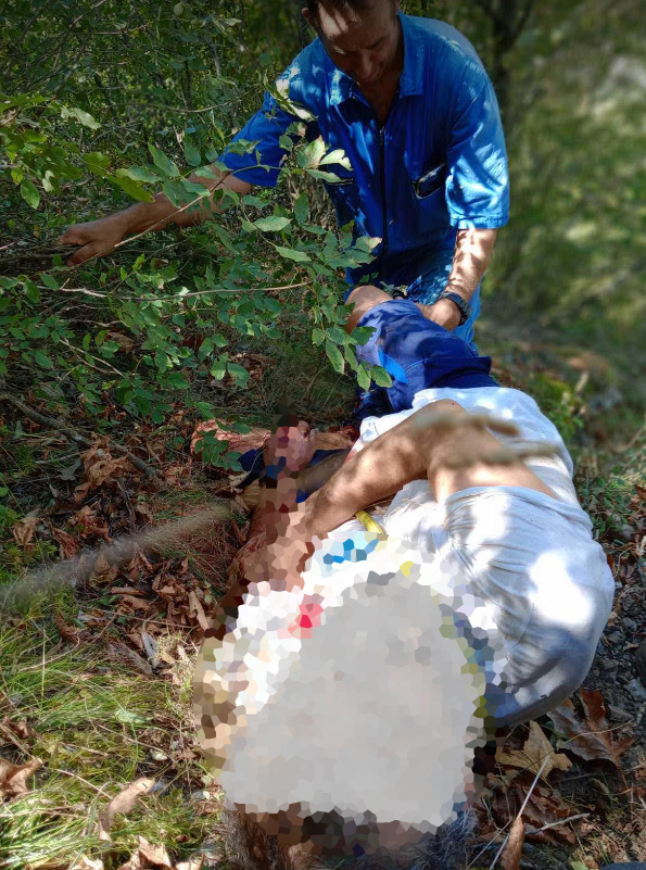 Άρτα επίθεση αρκούδας