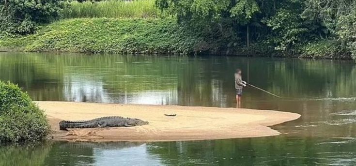 Αυστραλία κροκόδειλος