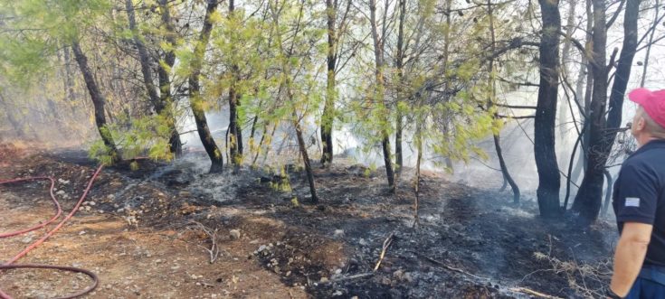 αυλώνας φωτιά