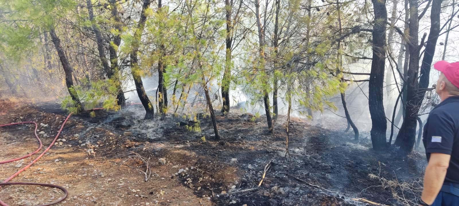 αυλώνας φωτιά