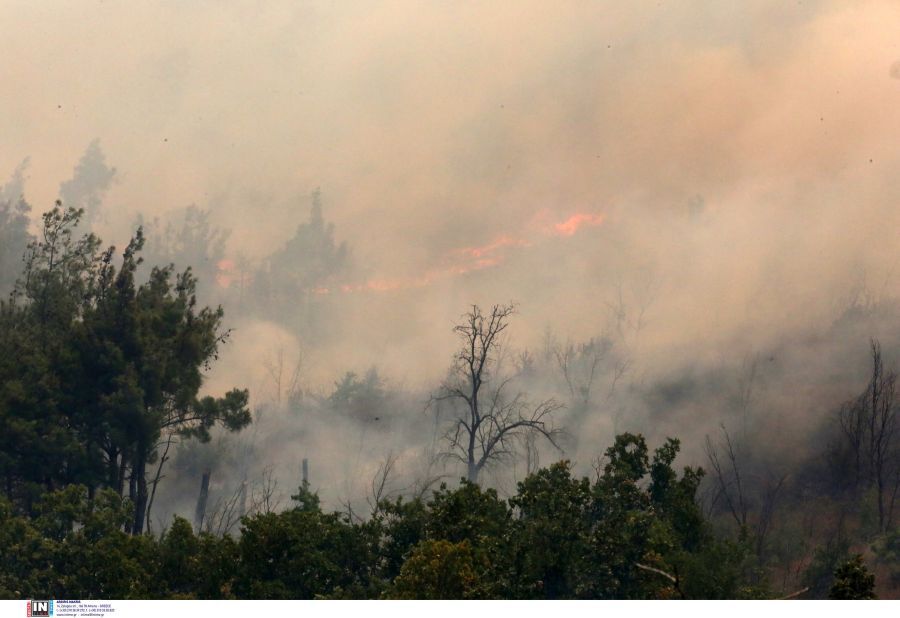 φωτιά Δαδιά