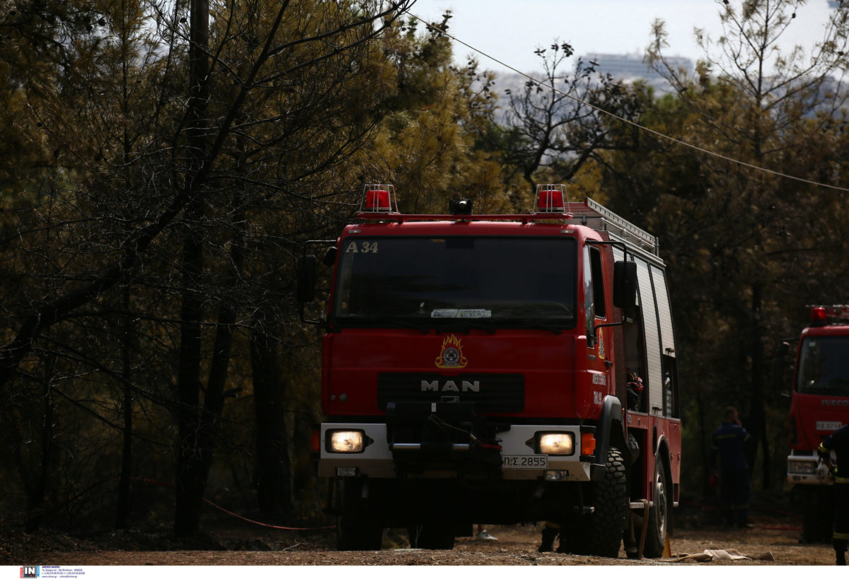 Χαλκιδική: Απαγόρευση κυκλοφορίας σε δασικές περιοχές λόγω υψηλού κινδύνου εκδήλωσης φωτιάς