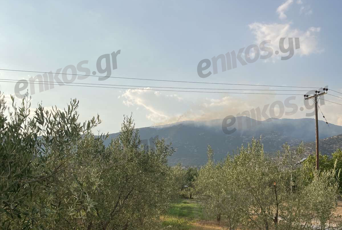 Φωτιά σε δασική έκταση στη Δράμα – ΦΩΤΟ & ΒΙΝΤΕΟ αναγνώστη