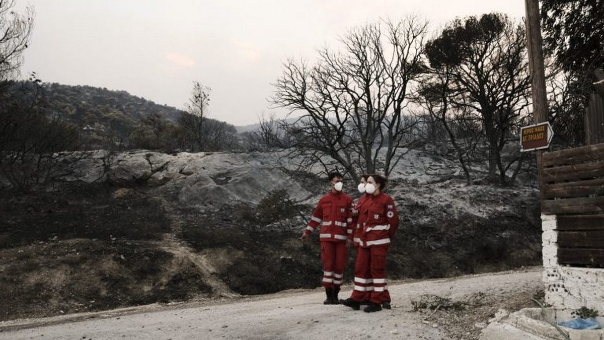 Περισσότερα από 617.000 στρέμματα κατέκαψε μέχρι σήμερα η φωτιά στον Έβρο και πάνω από 50.000 στη Φυλή