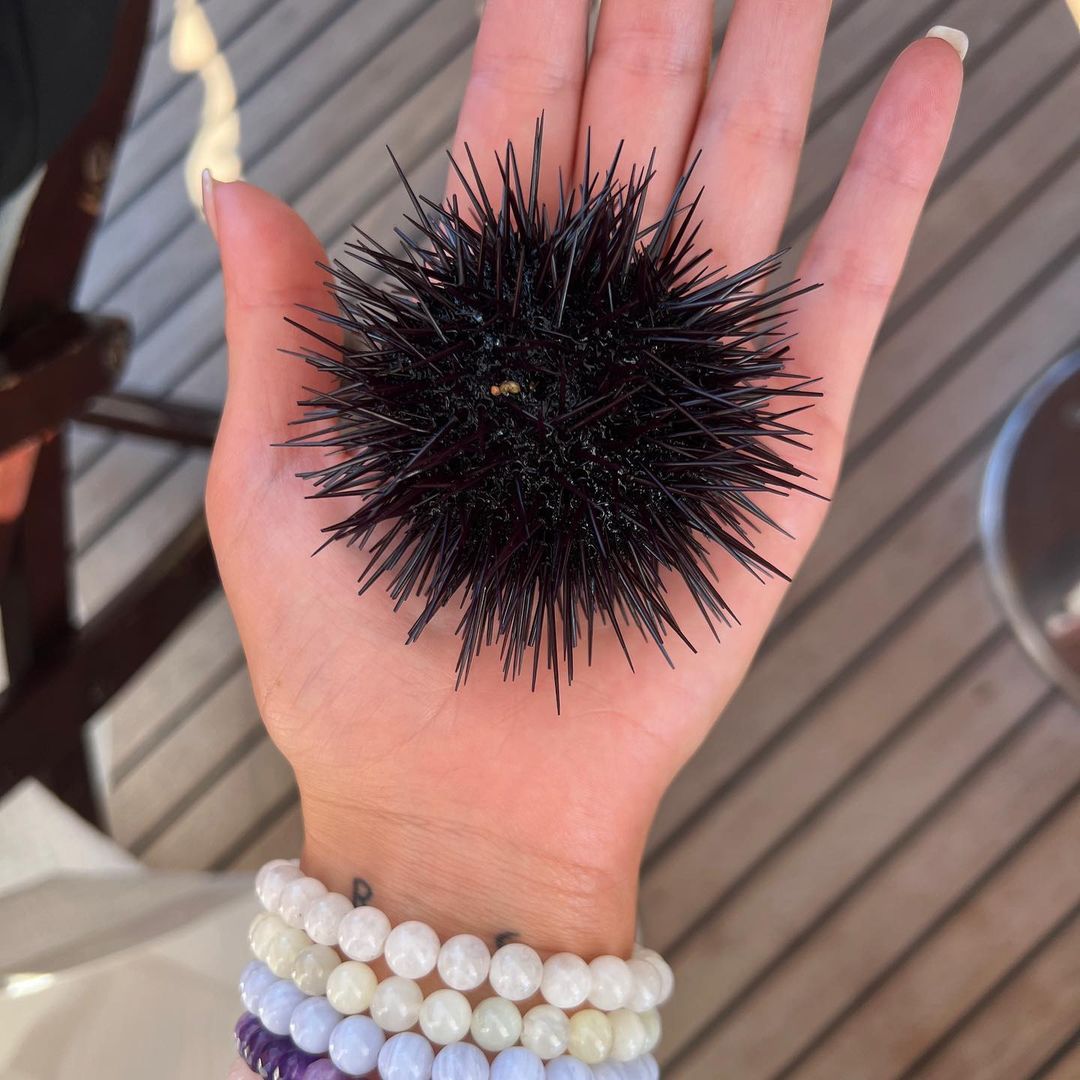 Dua Lipa Πελοπόννησος