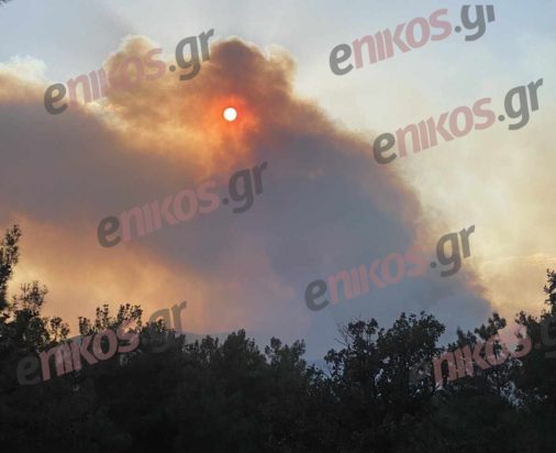 Φωτιά Έβρος, μεταξύ Τρεις Βρύσες και Κοτρωνιά