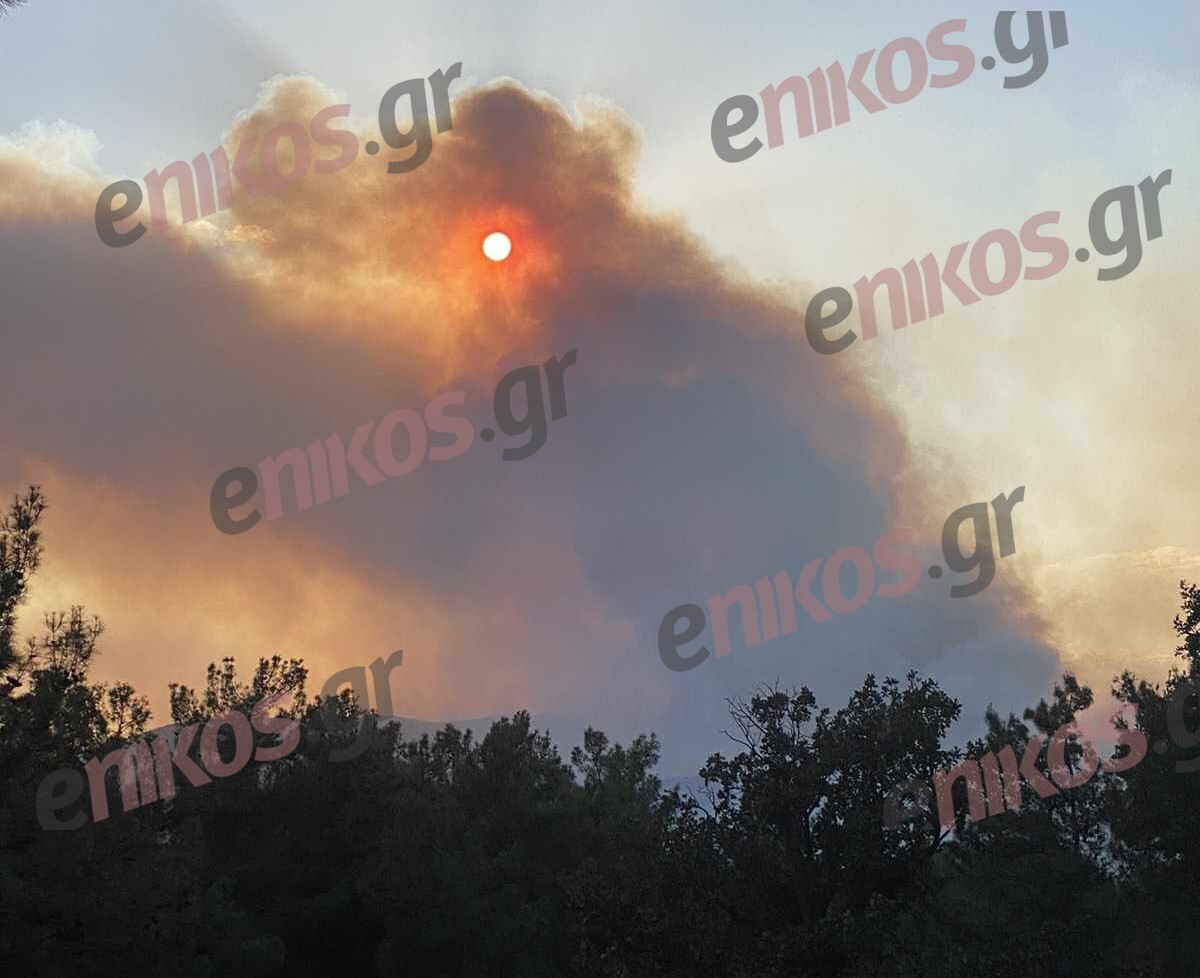 Φωτιά Έβρος, μεταξύ Τρεις Βρύσες και Κοτρωνιά
