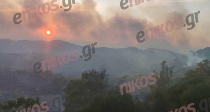 Έβρος φωτιά Λευκίμμη