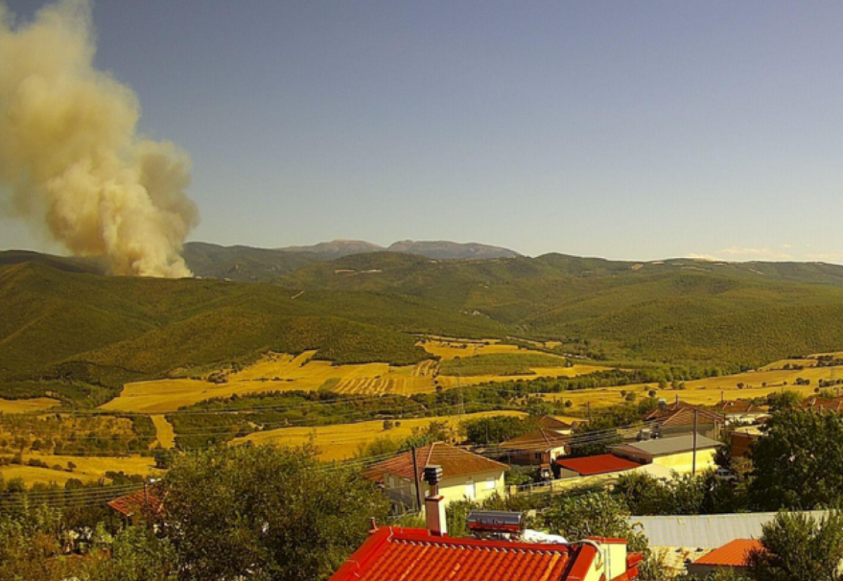 Φωτιά ΤΩΡΑ στα Φάρσαλα – Μεγάλη κινητοποίηση της πυροσβεστικής