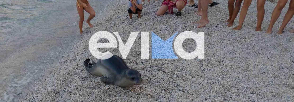 Φώκια Εύβοια