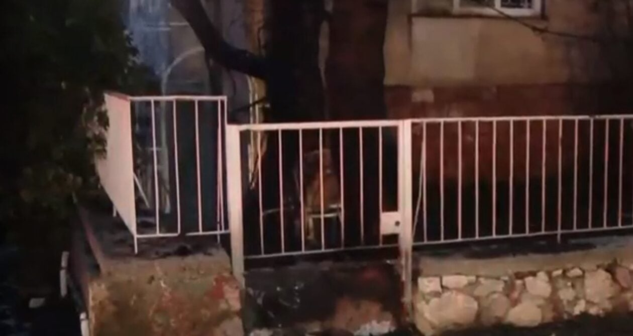 Φιλοθέη: Φωτιά σε οικόπεδο με δέντρα – Οι φλόγες πέρασαν σε αυλές σπιτιών