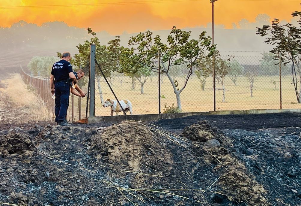 Αστυνομικοί σώζουν σκύλο από τη φωτιά στην Αλεξανδρούπολη