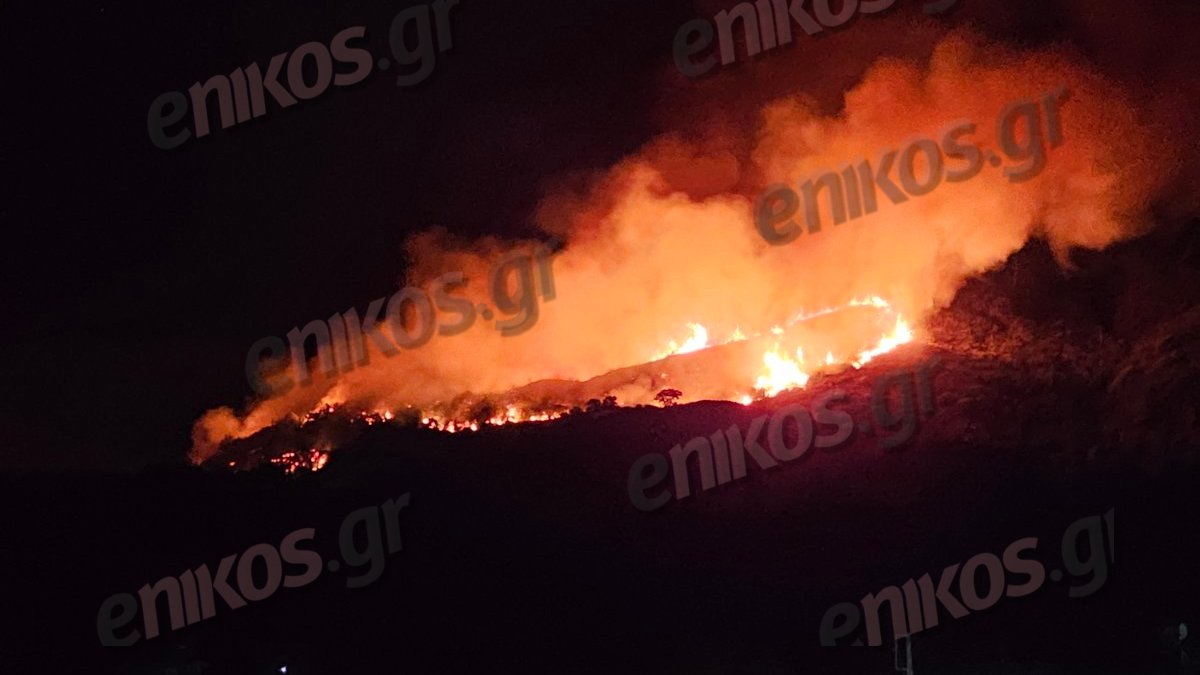 Κεφαλονιά: Σε εξέλιξη η φωτιά στην Αγία Ειρήνη – ΦΩΤΟ & ΒΙΝΤΕΟ αναγνώστη