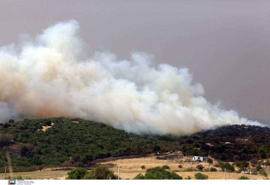 Φωτιά στην Αλεξανδρούπολη: Νέο μήνυμα του 112 για εκκένωση ακόμη 4 οικισμών