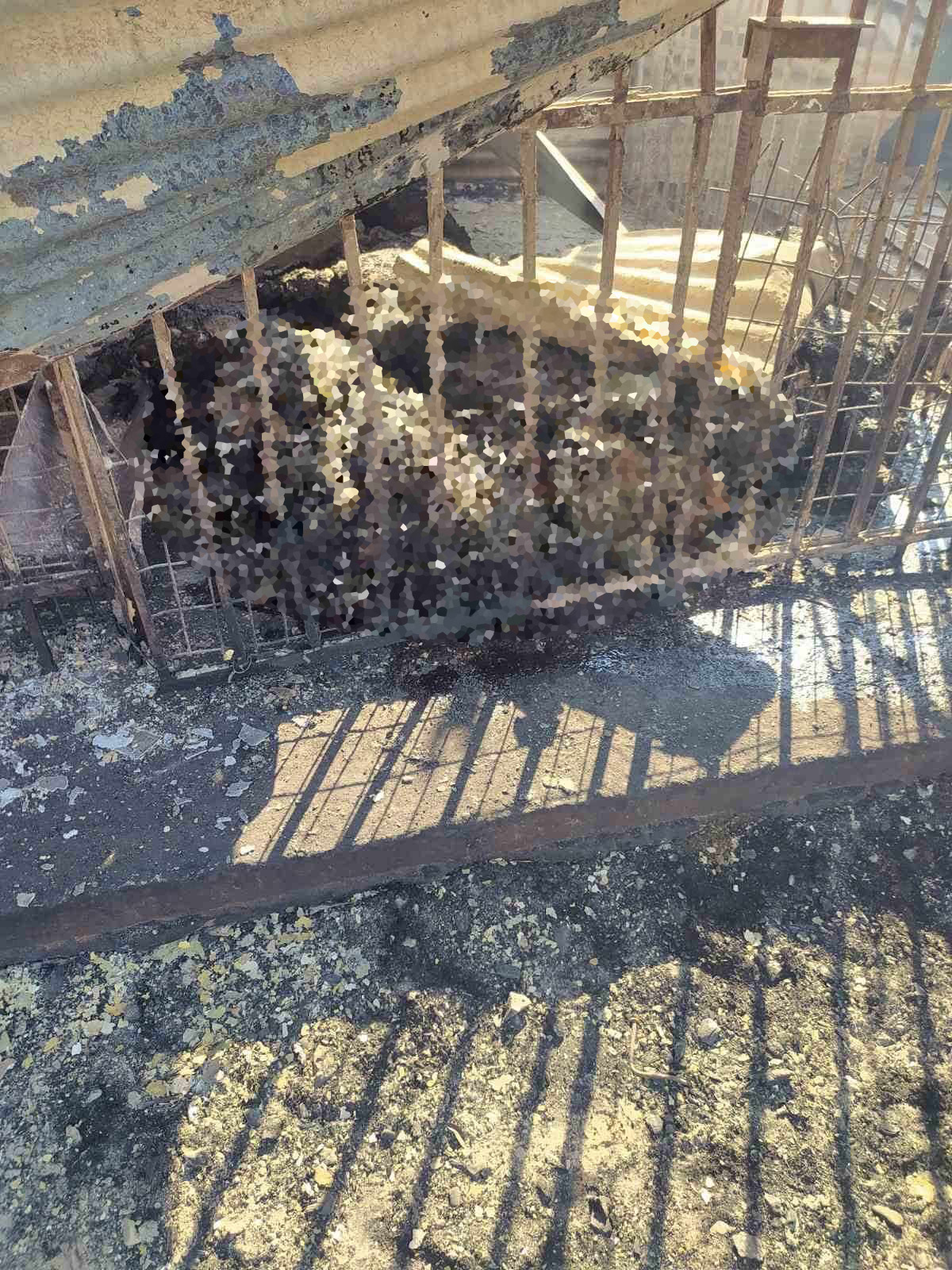 Φωτιά Αλεξανδρούπολη Έβρος Ζημιές