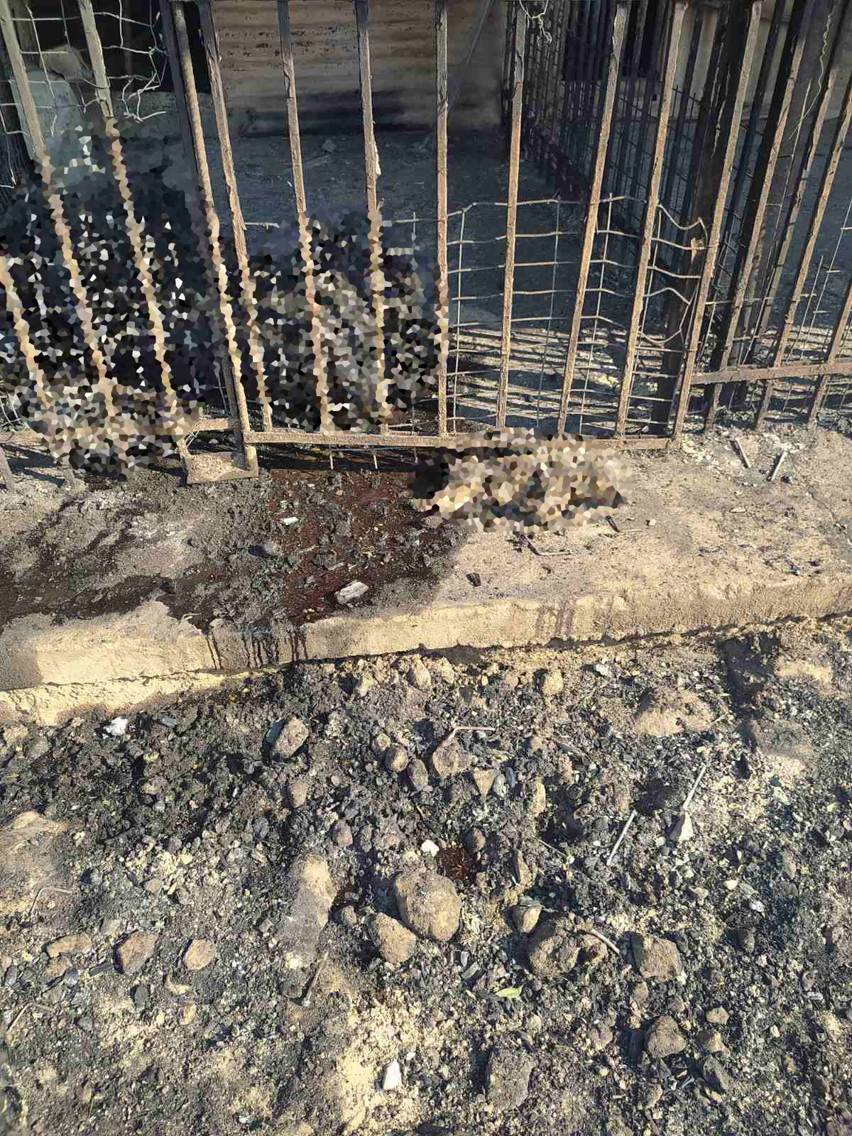 Φωτιά Αλεξανδρούπολη Έβρος Ζημιές