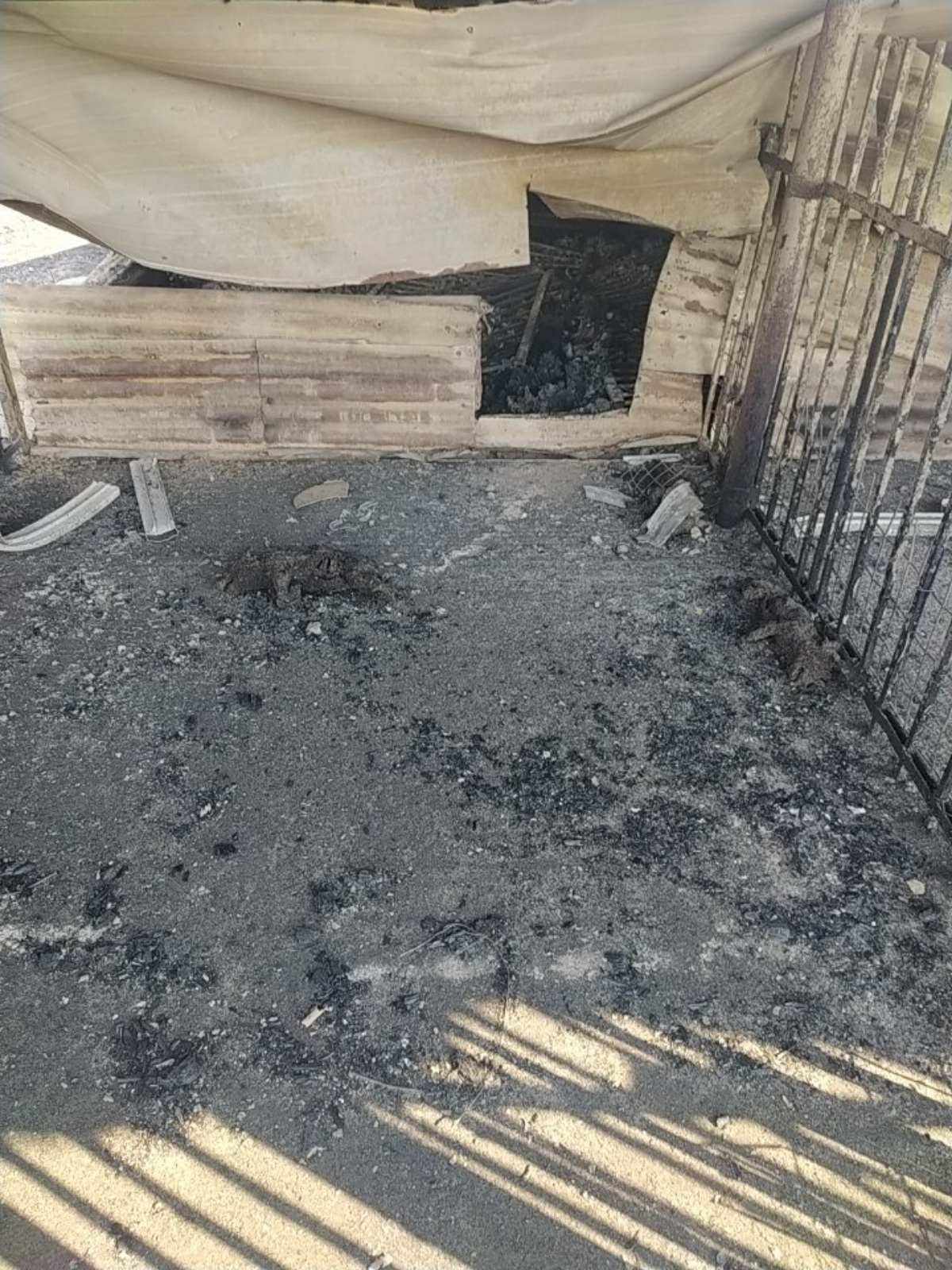 Φωτιά Αλεξανδρούπολη Έβρος Ζημιές