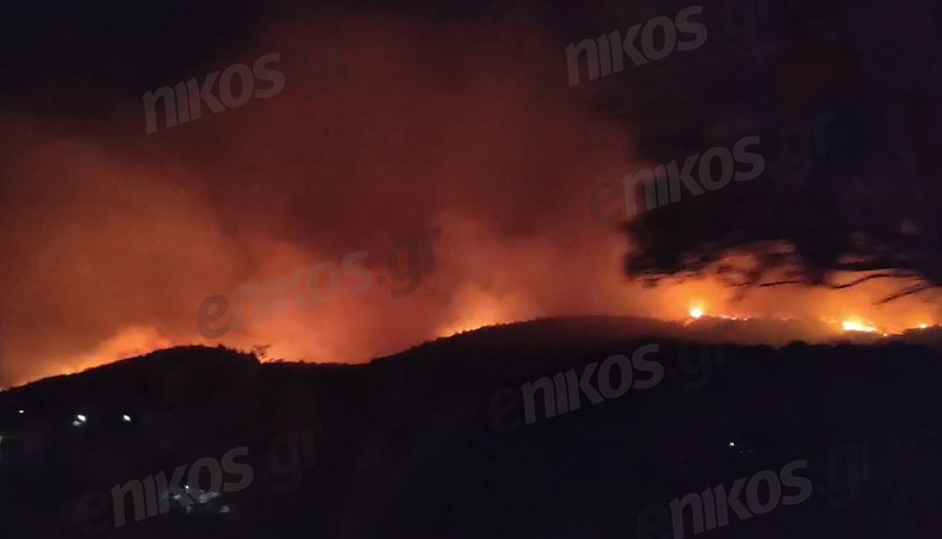 Αλεξανδρούπολη: Εφιαλτική νύχτα, καίει ανεξέλεγκτη η μεγάλη φωτιά – «Μας “χορεύει” ο άνεμος» – ΦΩΤΟ & ΒΙΝΤΕΟ