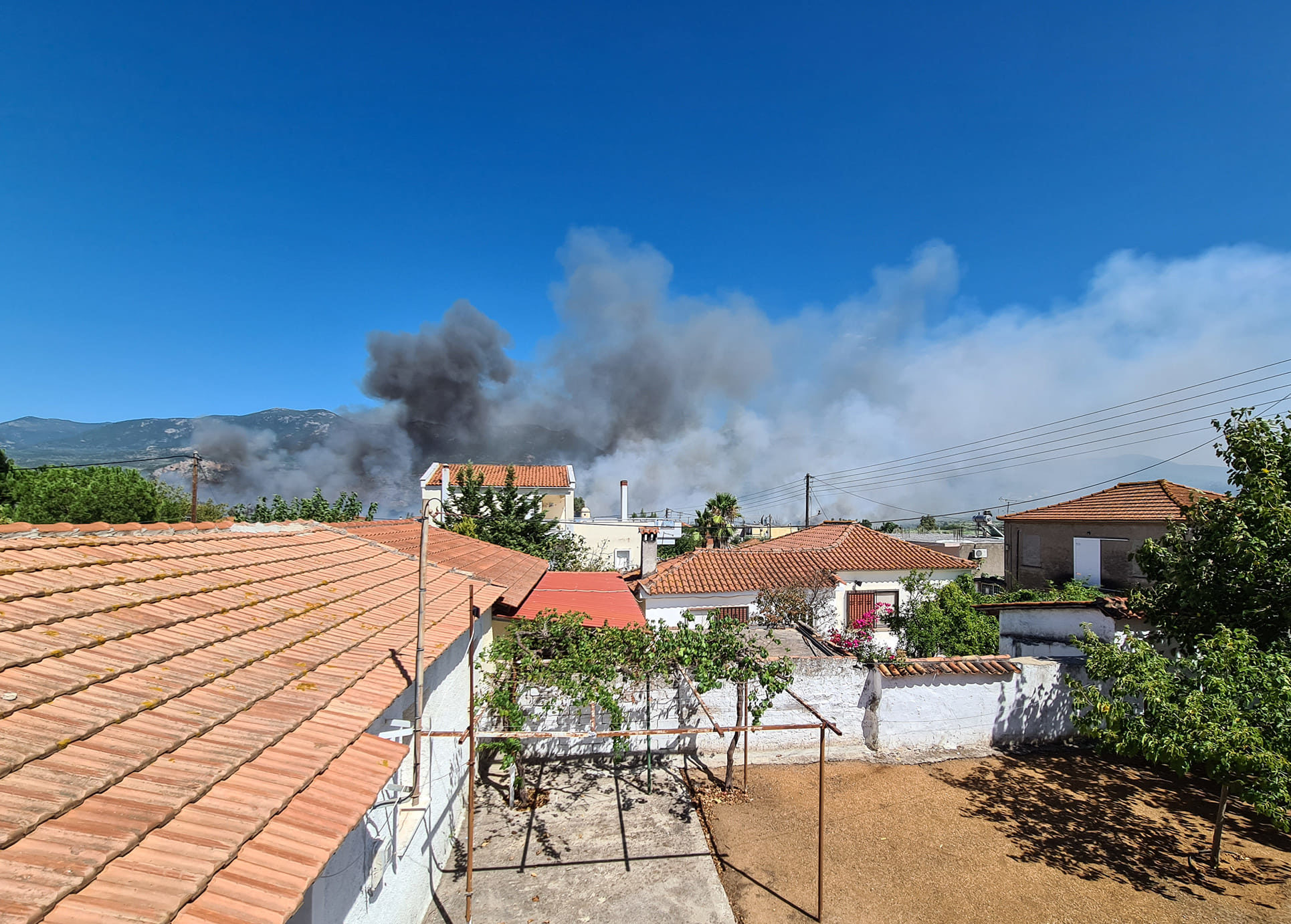 φωτιά Μεσσηνία Ασπροπουλιά