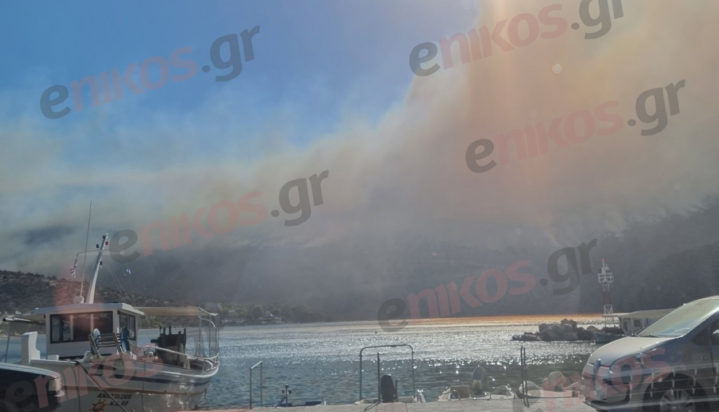 Φωτιά Βοιωτία