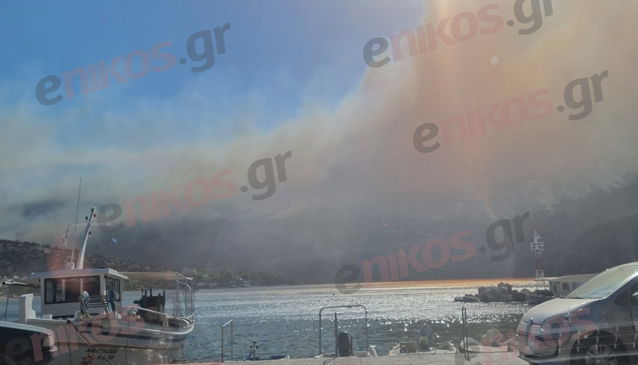 Φωτιά Βοιωτία