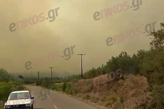 Βοιωτία: Φωτιά ΤΩΡΑ στο Δίστομο