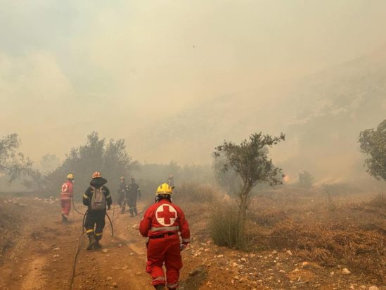 Φωτιά Βοιωτία