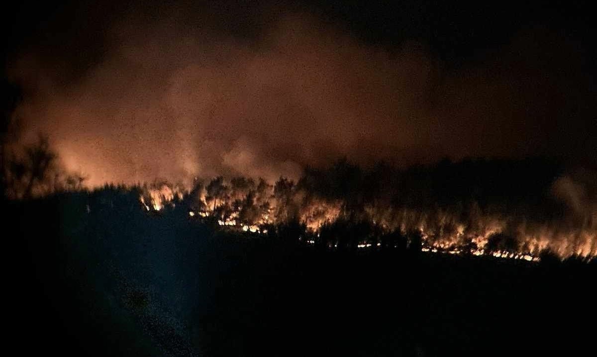 Φωτιά δάσος Δαδιάς