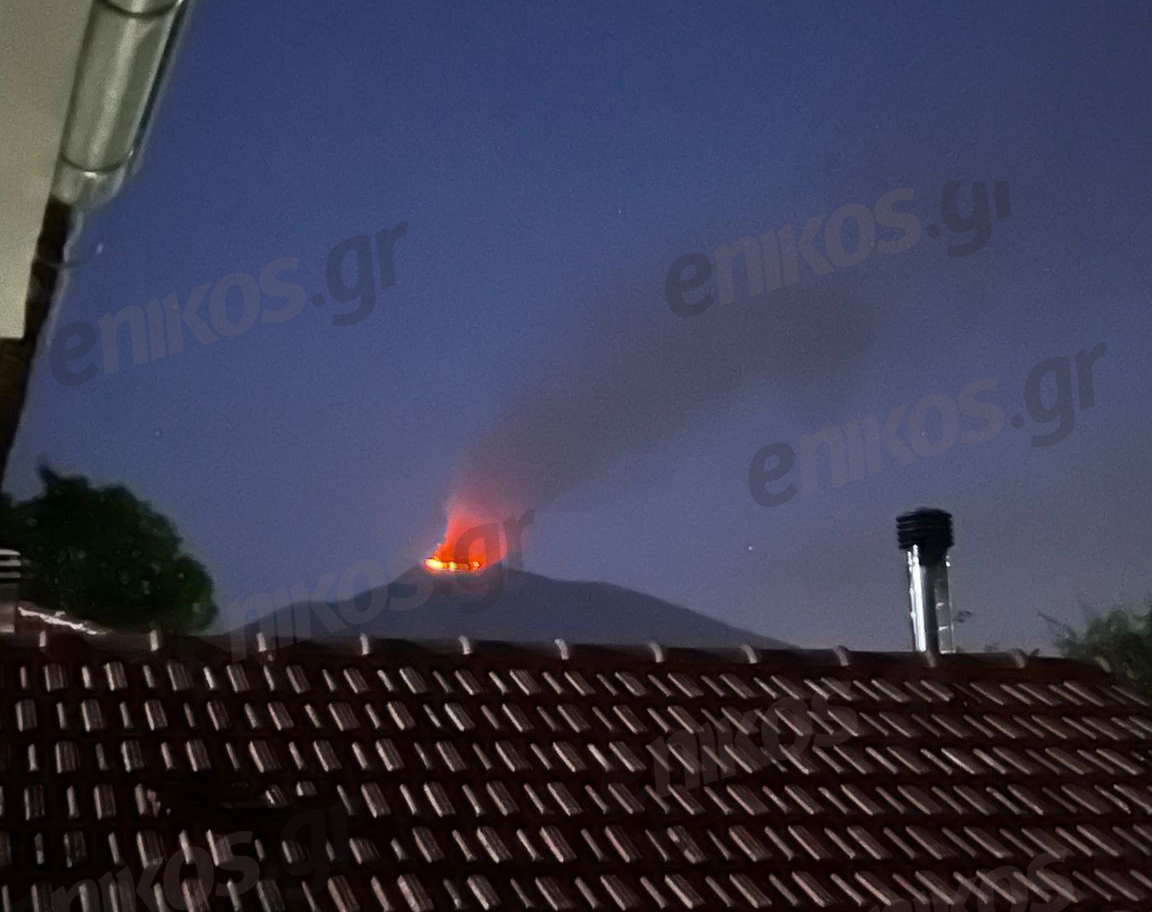 Δράμα: Φωτιά στην περιοχή Πανόραμα – ΦΩΤΟ & ΒΙΝΤΕΟ αναγνώστη