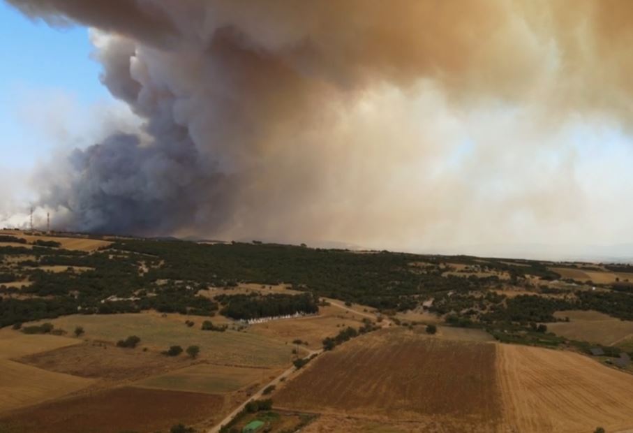 Φωτιά στην Αλεξανδρούπολη: Το πύρινο μέτωπο από ψηλά – Δείτε ΒΙΝΤΕΟ από drone