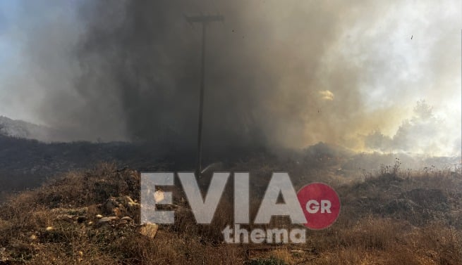 Φωτιά Εύβοια Ψαχνά